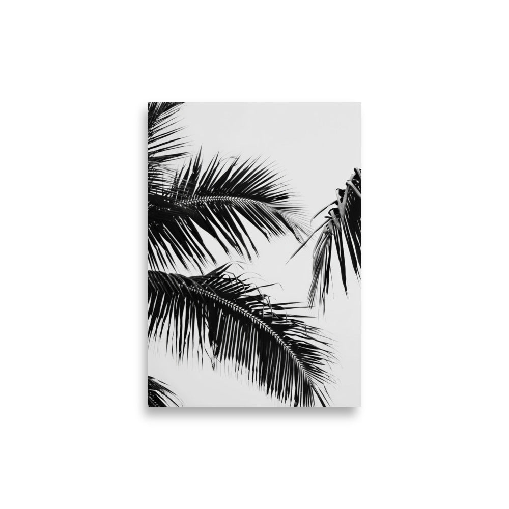 Black Palm Leaf