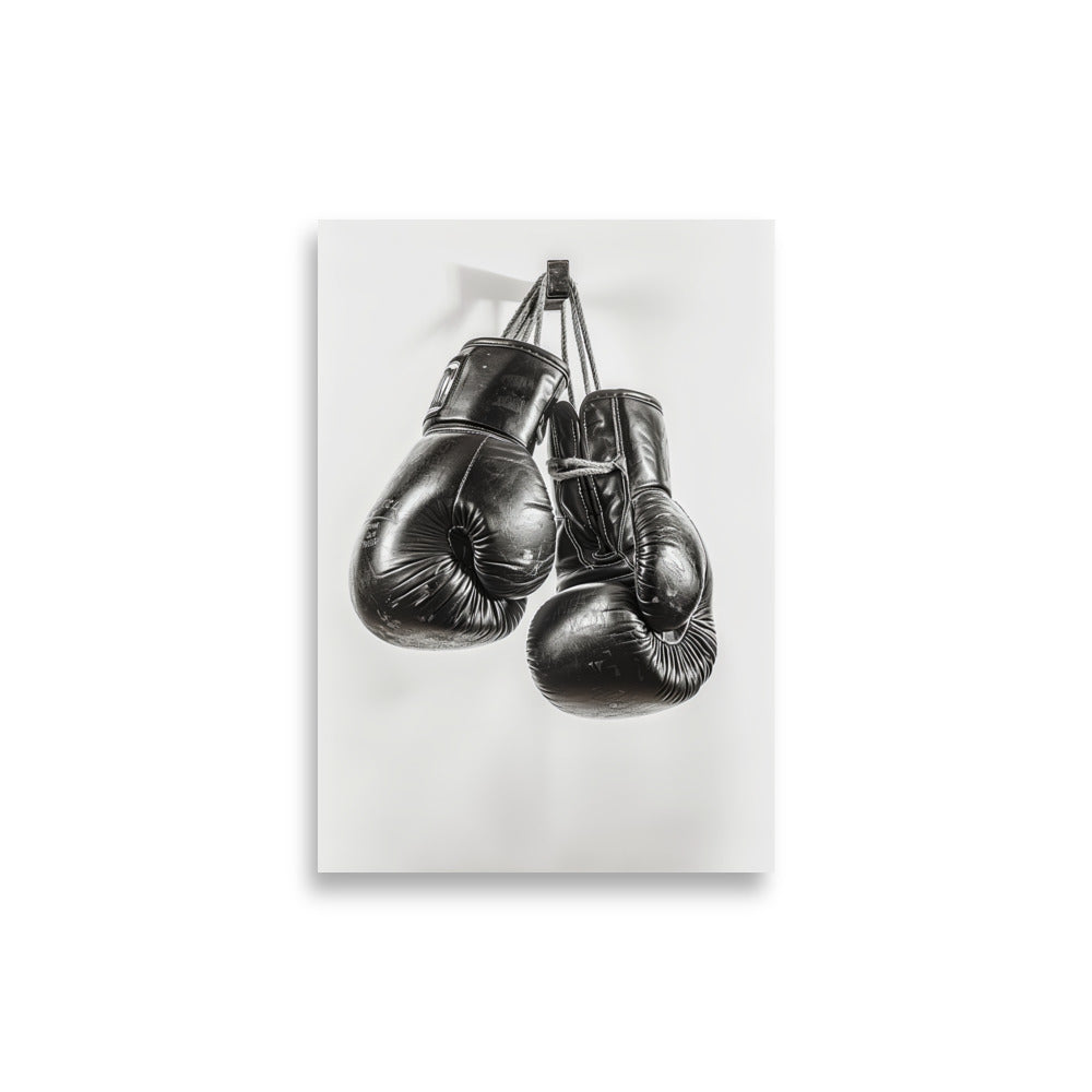 Boxing Gloves