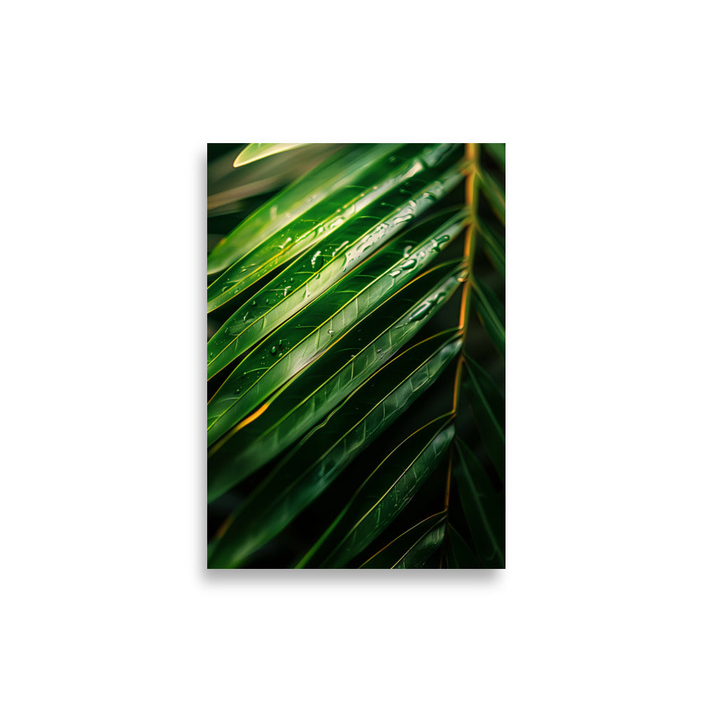 Palm Focus