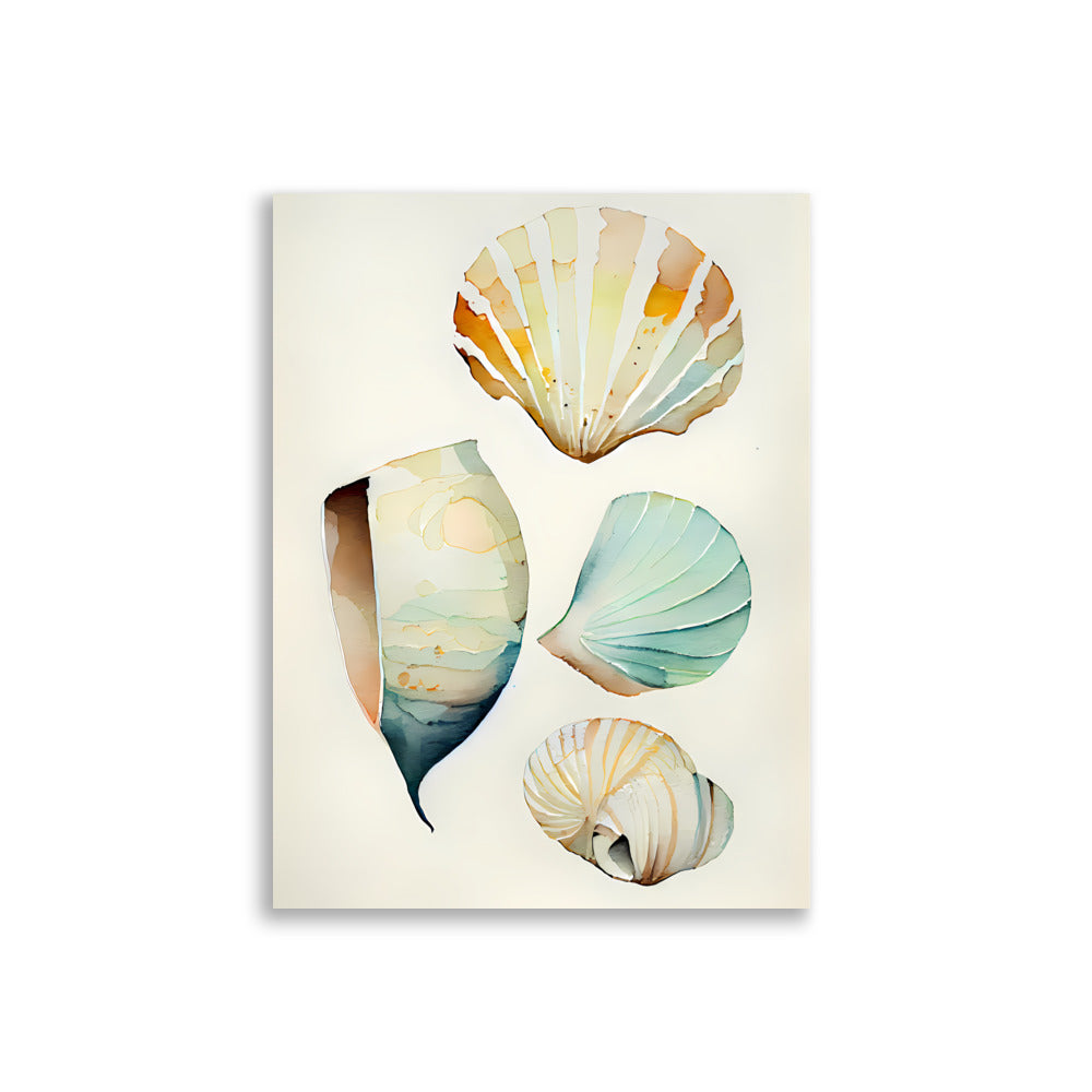 Shells No2 - AFFICHES & MOI 