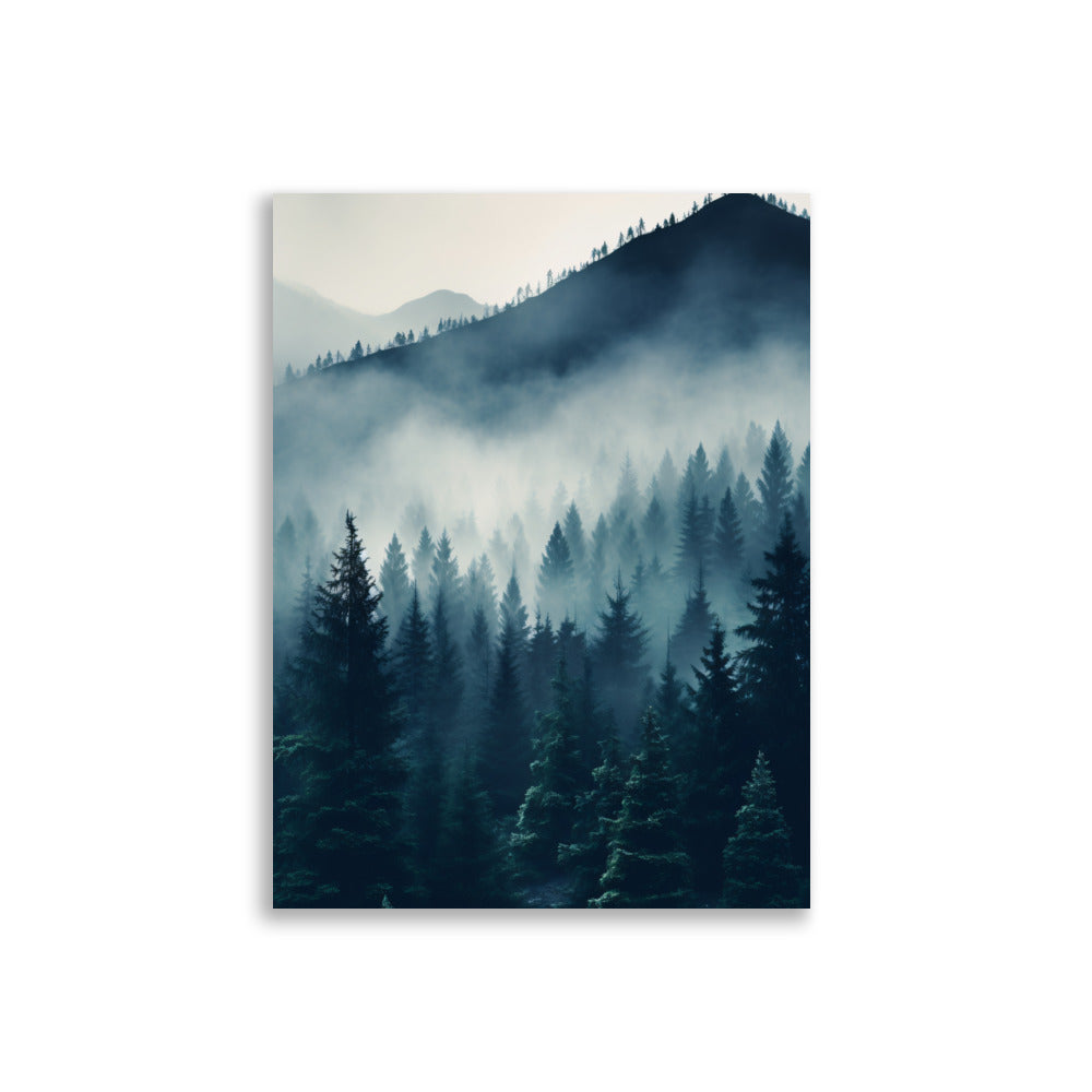 Misty Forest