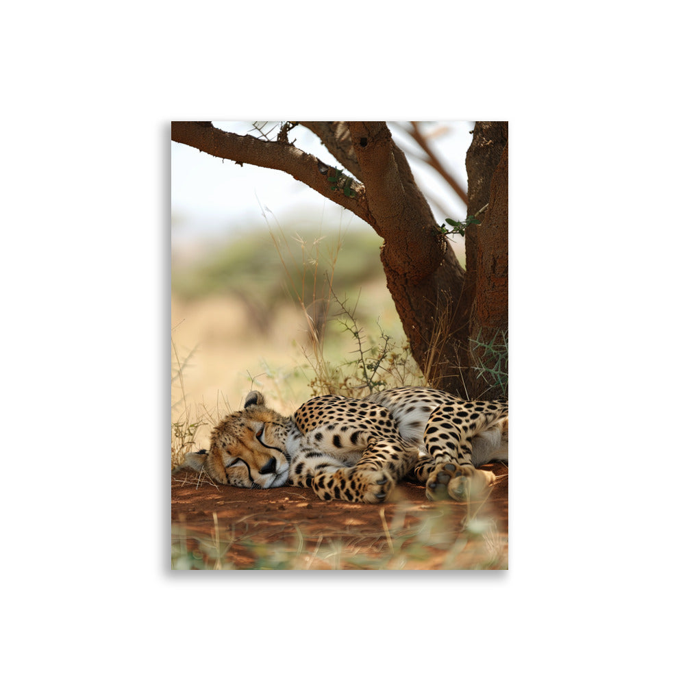 Sleeping Guepard