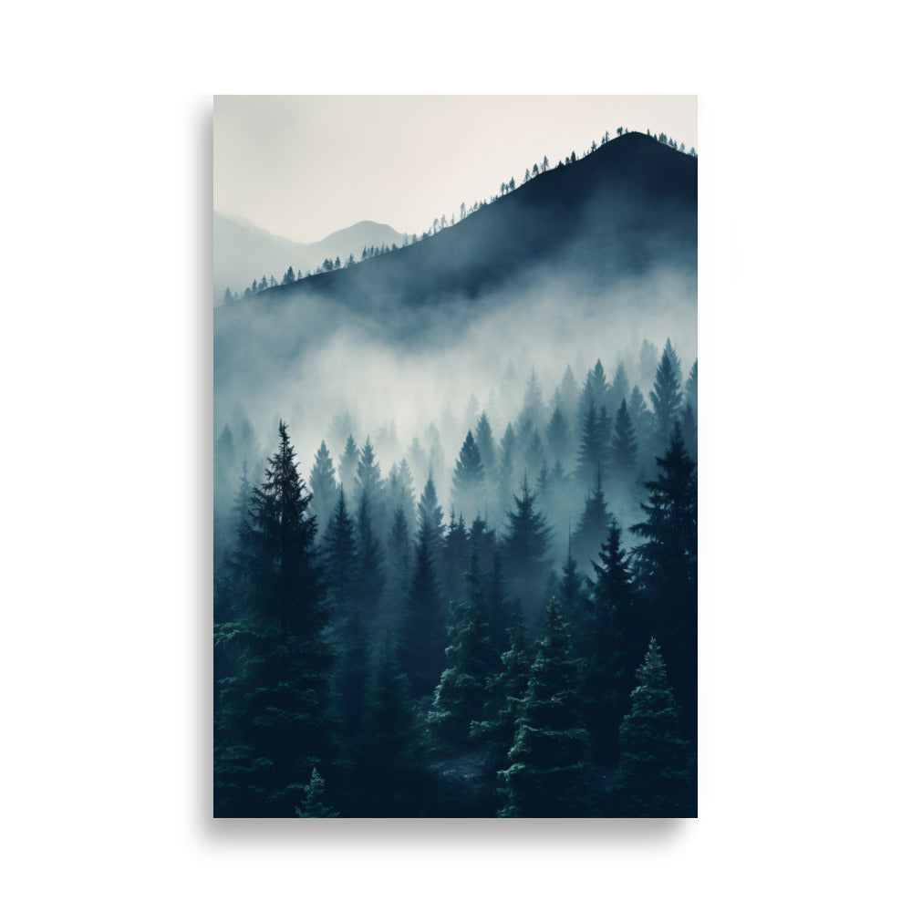 Misty Forest