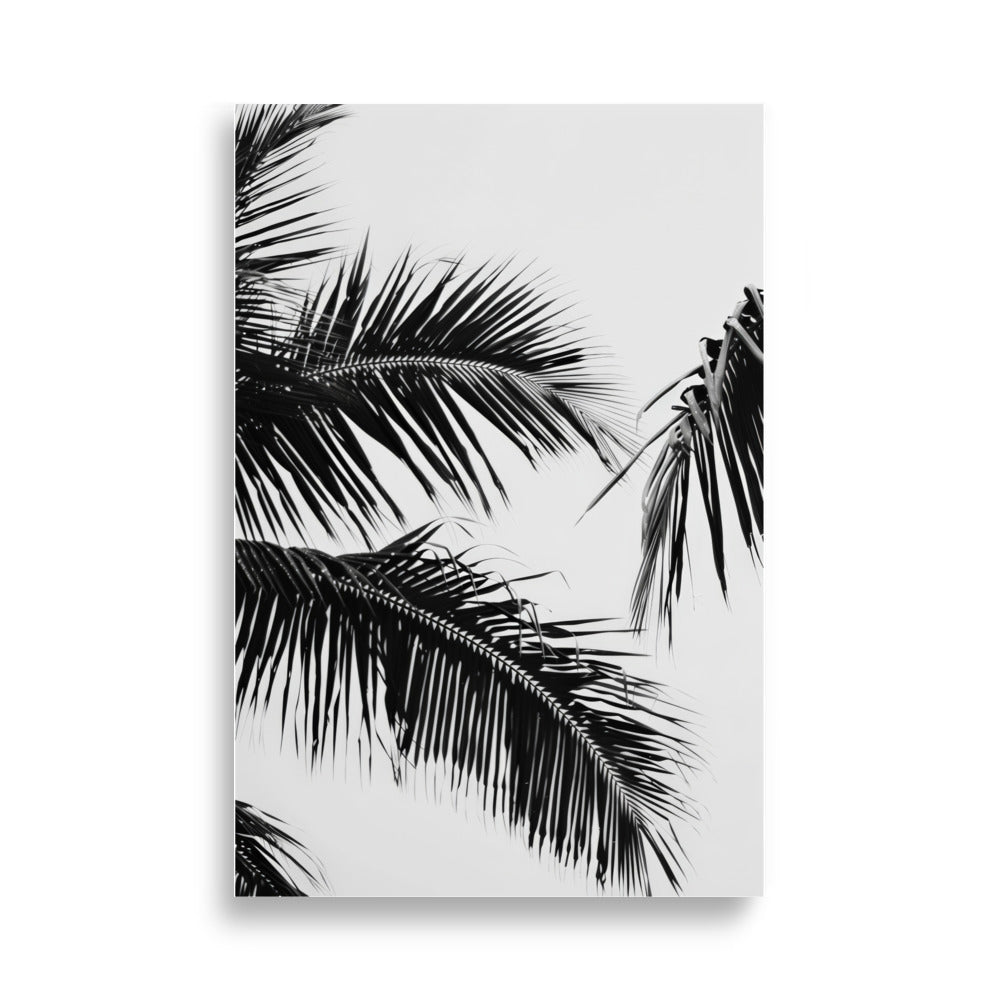 Black Palm Leaf