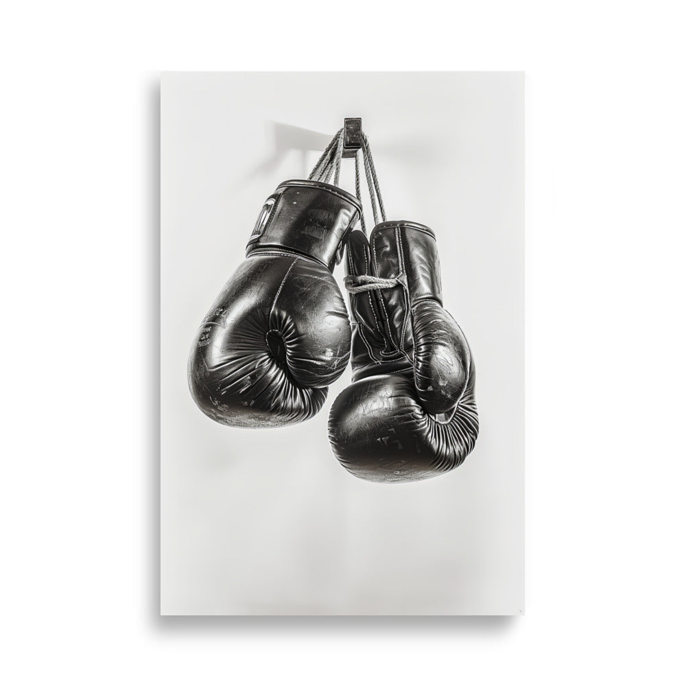 Boxing Gloves