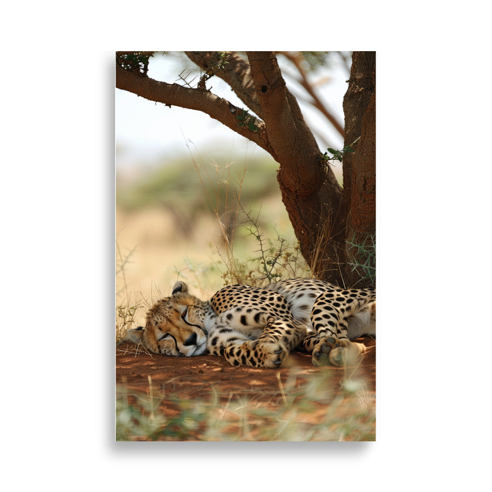 Sleeping Guepard