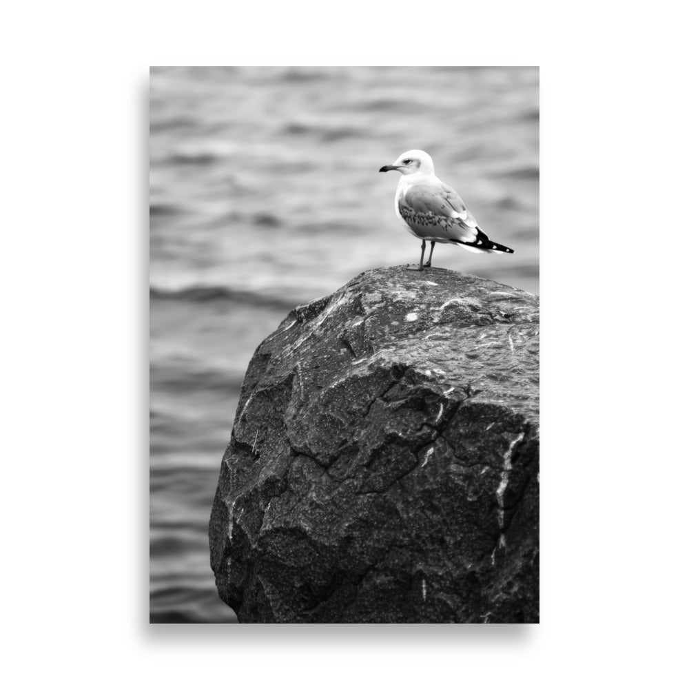 Seagull